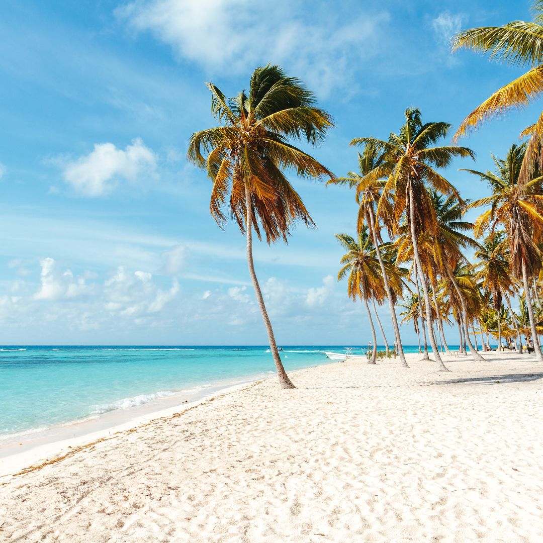 Viaje organizado a el Caribe Viaje organizado a el Caribe