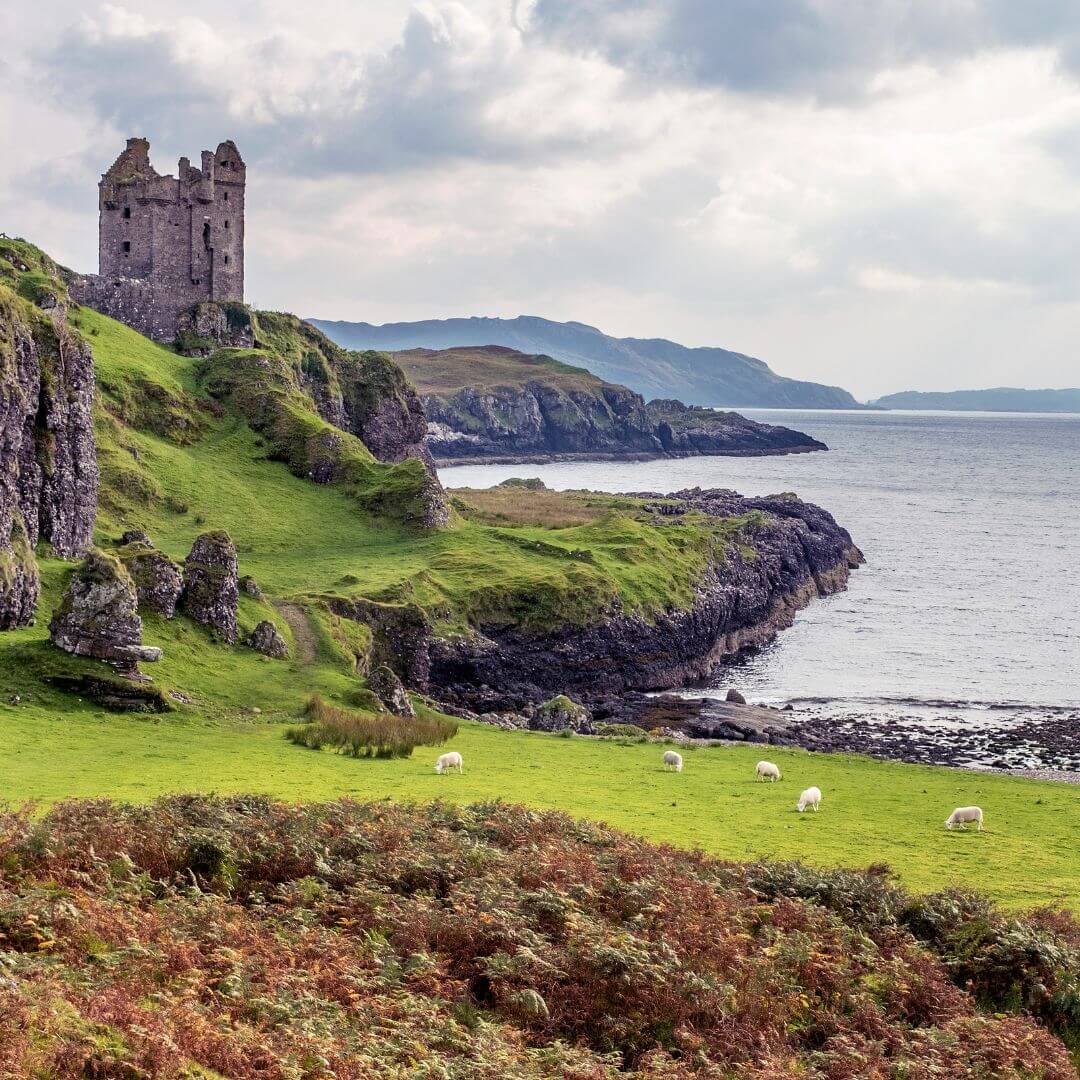 Oferta escocia Oferta escocia